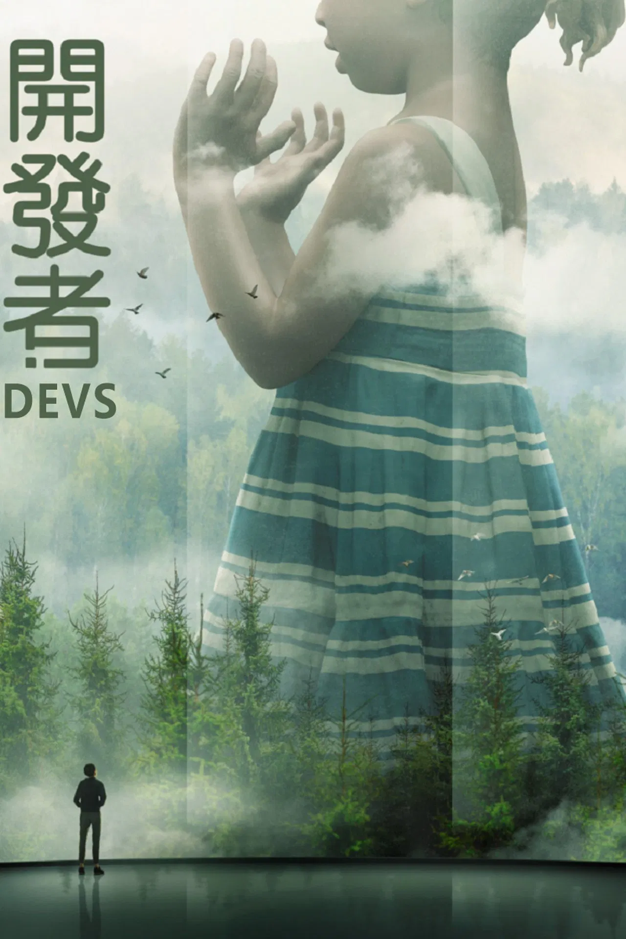 开发者(全集)