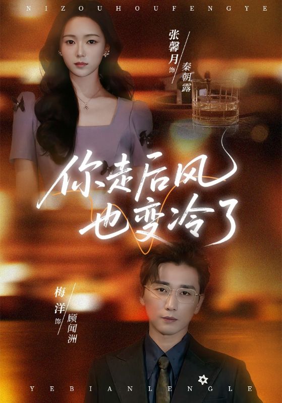 你走后风也变冷了(全集)