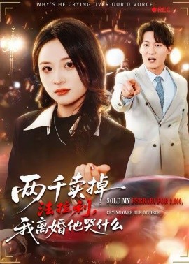 两千卖掉法拉利，我离婚他哭什么(全集)